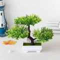 Planta Artificial Estilo Bonsai